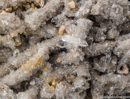 Quartz pseudo. after Coral from Mayo Quarry, Aughamore, Co. Sligo, Ireland [db_pics/pics/SV503c.jpg]