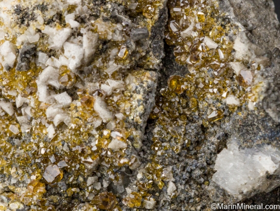 Sphalerite with Dolomite from 1200 Level, Tara Mine, Navan, Co. Meath, Ireland [db_pics/pics/SV509c.jpg]