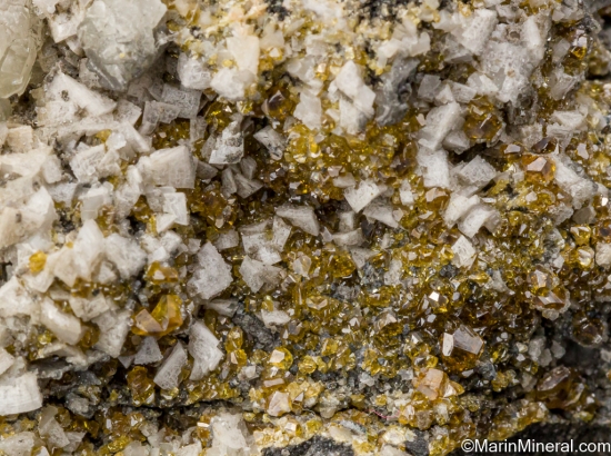 Sphalerite with Dolomite from 1200 Level, Tara Mine, Navan, Co. Meath, Ireland [db_pics/pics/SV509d.jpg]