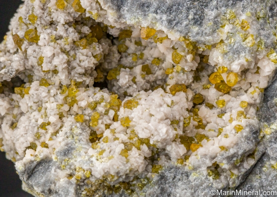 Sphalerite on Dolomite from Lisheen Mine, Moyne, Co. Tipperary, Ireland [db_pics/pics/SV513d.jpg]