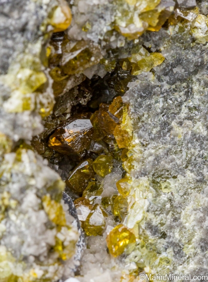 Sphalerite with Galena from Lisheen Mine, Moyne, Co. Tipperary, Ireland [db_pics/pics/SV525d.jpg]