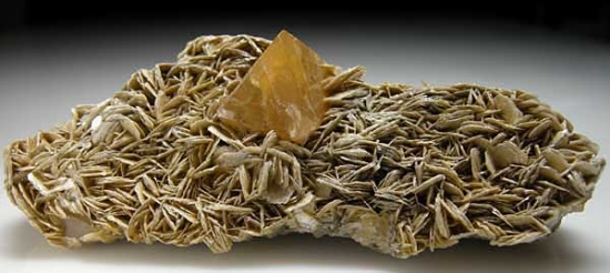 Scheelite on Muscovite from Mt Xuebaoding, Ping Wu, Sichuan Prov., China [db_pics/pics/a110a.jpg]