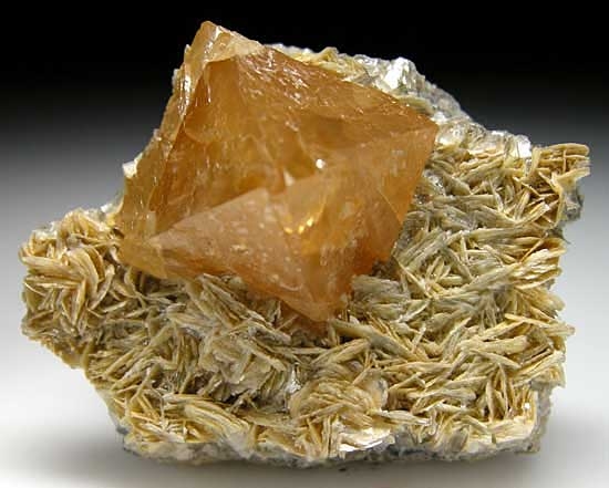 Scheelite on Muscovite from Mt Xuebaoding, Ping Wu, Sichuan Prov., China [db_pics/pics/a111a.jpg]