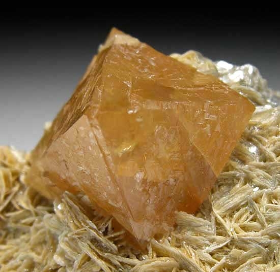 Scheelite on Muscovite from Mt Xuebaoding, Ping Wu, Sichuan Prov., China [db_pics/pics/a111b.jpg]