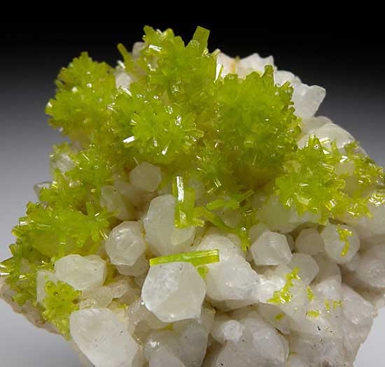 Pyromorphite on Quartz from Daoping Mine, Guangxi Prov., China [db_pics/pics/a258b.jpg]