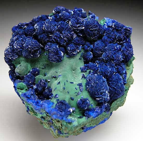 Azurite on Malachite from Liufengshan Copper Mine, Anhui Prov., China [db_pics/pics/a455a.jpg]