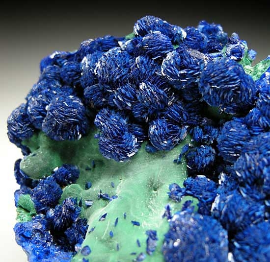 Azurite on Malachite from Liufengshan Copper Mine, Anhui Prov., China [db_pics/pics/a455b.jpg]