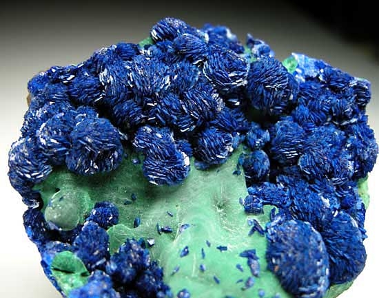 Azurite on Malachite from Liufengshan Copper Mine, Anhui Prov., China [db_pics/pics/a455c.jpg]