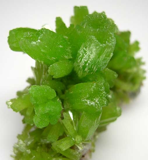 Pyromorphite from Daoping Mine, Guangxi Prov., China [db_pics/pics/a580b.jpg]