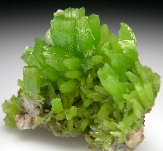 Pyromorphite from Daoping Mine, Guangxi Prov., China [db_pics/pics/a580c.jpg]
