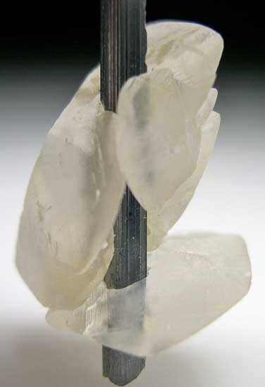 Stibnite with Calcite from Henan Prov., China [db_pics/pics/a610b.jpg]