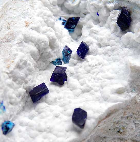 Henmilite from Fuka Mine, Takahasi shi, Okayama Prefecture, Japan [db_pics/pics/a740c.jpg]