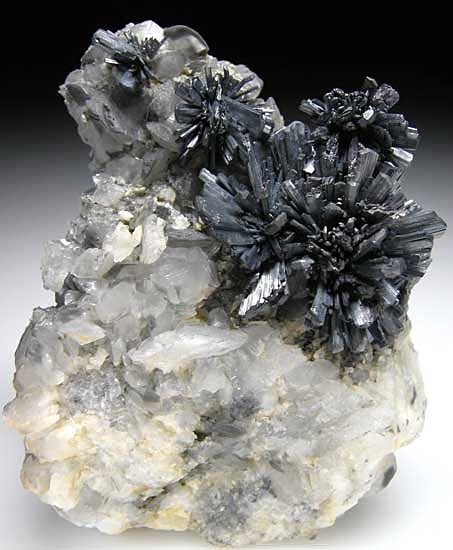 Stibnite on Calcite from Jiangxi Prov., China [db_pics/pics/a785a.jpg]