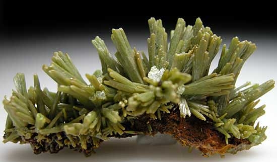 Pyromorphite from Daoping Mine, Guangxi Prov., China [db_pics/pics/a789a.jpg]