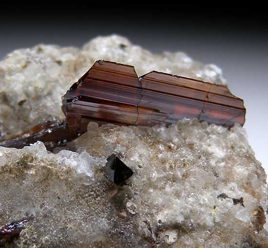 Anatase with Brookite from Kharan Mountain, Balochistan, Pakistan [db_pics/pics/a842b.jpg]