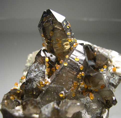 Spessartine on Quartz from Tongbei, Fujian Prov., China [db_pics/pics/a878b.jpg]