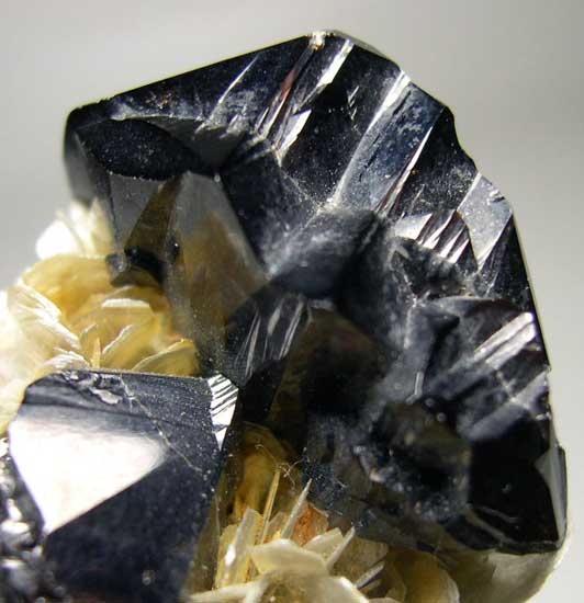 Scheelite on Cassiterite from Ping Wu, Sichuan, China [db_pics/pics/a945b.jpg]