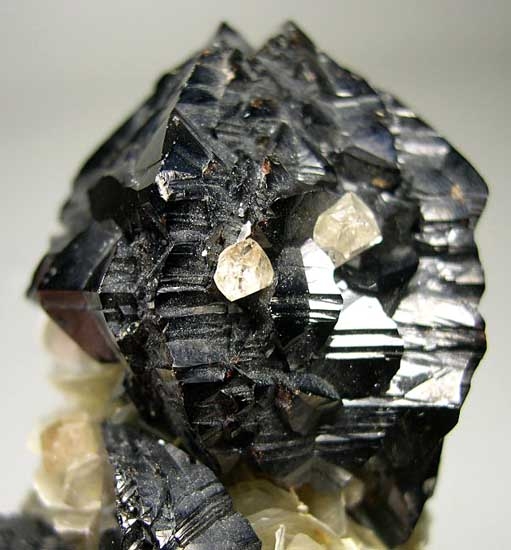 Scheelite on Cassiterite from Ping Wu, Sichuan, China [db_pics/pics/a945c.jpg]