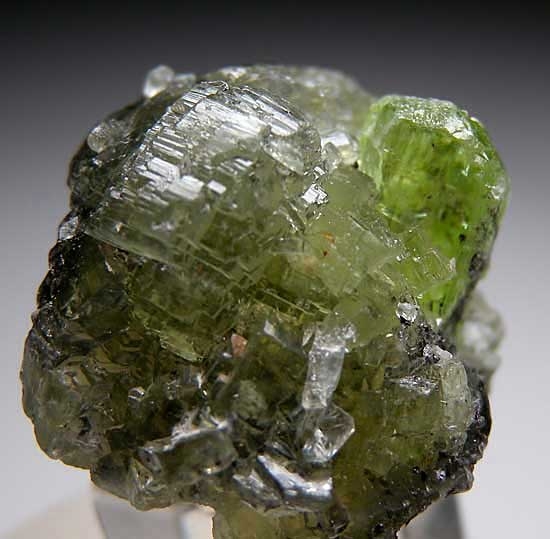 Diopside on Prehnite from Merelani Hills, Lelatema Mtns., Arusha Region, Tanzania [db_pics/pics/af287b.jpg]