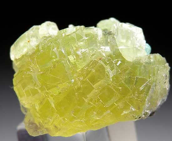 Prehnite with Apatite from Merelani Hills, Lelatema Mtns., Arusha Region, Tanzania [db_pics/pics/af290a.jpg]