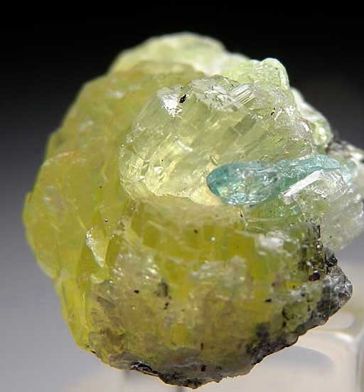 Prehnite with Apatite from Merelani Hills, Lelatema Mtns., Arusha Region, Tanzania [db_pics/pics/af290c.jpg]