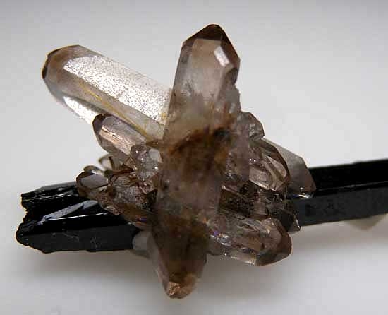 Quartz on Aegerine from Mt. Malosa, Zomba, Malawi [db_pics/pics/af394b.jpg]