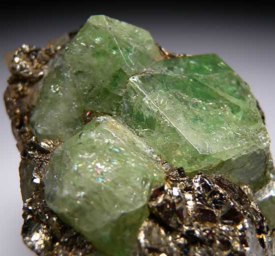 Tsavorite on Pyrite from Merelani Hills, Lelatema Mtns., Arusha Region, Tanzania [db_pics/pics/af402c.jpg]