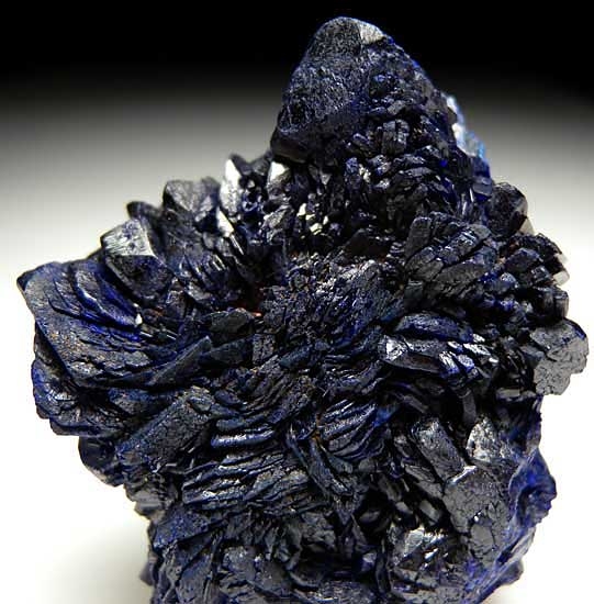 Azurite from Bou Bekker Mine, Toussit District, Oujda-Angad Prov., Morocco [db_pics/pics/af428b.jpg]
