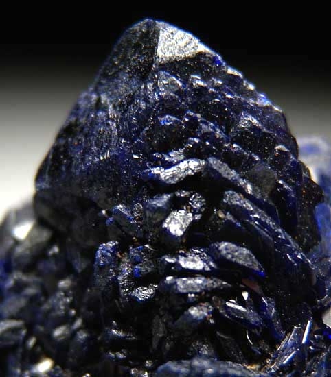 Azurite from Bou Bekker Mine, Toussit District, Oujda-Angad Prov., Morocco [db_pics/pics/af428c.jpg]