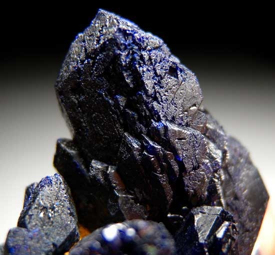Azurite from Bou Bekker Mine, Toussit District, Oujda-Angad Prov., Morocco [db_pics/pics/af429c.jpg]
