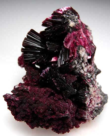 Erythrite from Bou Azzer, Morocco [db_pics/pics/af477b.jpg]