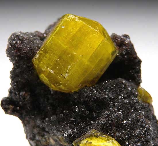 Ettringite from N'Chwanning Mine, Kuruman, South Africa [db_pics/pics/af507b.jpg]