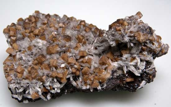 Poldervaartite with Bulfonteinite from N'Chwanning Mine, Kuruman, South Africa [db_pics/pics/af782a.jpg]
