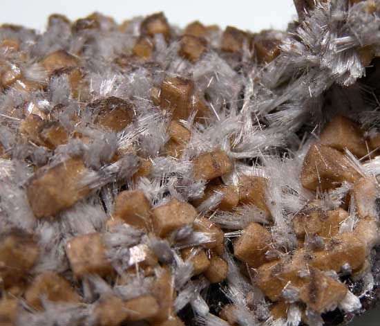 Poldervaartite with Bulfonteinite from N'Chwanning Mine, Kuruman, South Africa [db_pics/pics/af782c.jpg]