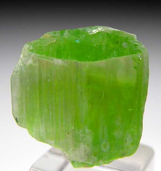 Tremolite from Merelani Hills, Lelatema Mtns., Arusha Region, Tanzania [db_pics/pics/af832a.jpg]
