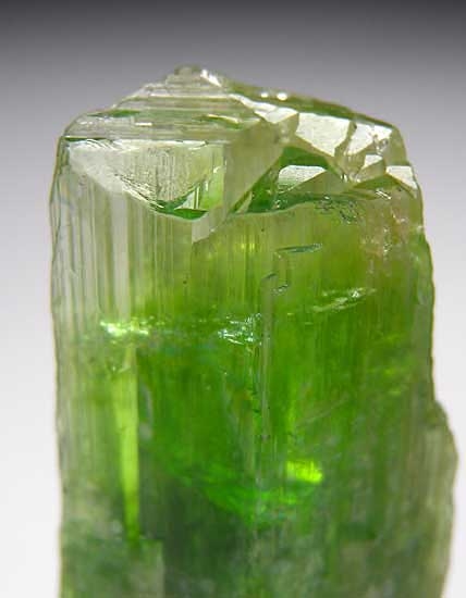 Tremolite from Merelani Hills, Lelatema Mtns., Arusha Region, Tanzania [db_pics/pics/af833b.jpg]