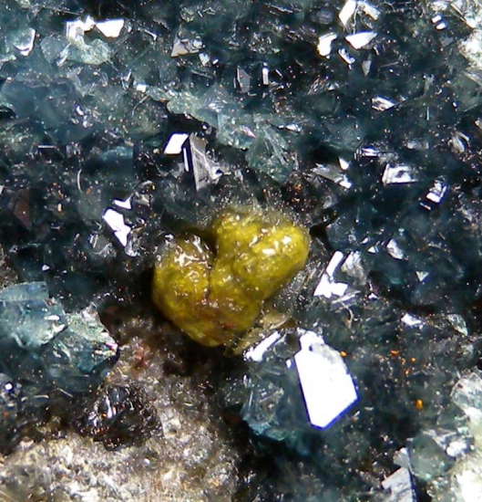 Scorodite from Mina Oujela, Mapimi, Durango, Mexico [db_pics/pics/au147d.jpg]