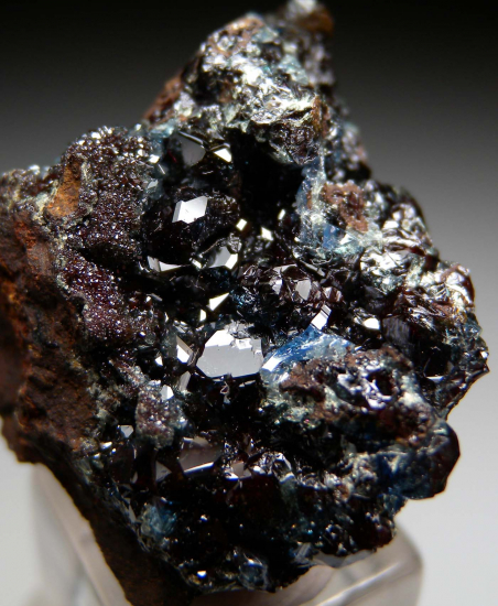 Scorodite from Mina Oujela, Mapimi, Durango, Mexico [db_pics/pics/au300b.jpg]