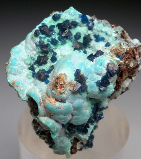 Veszelyite on Plancheite from Kipushi Mine, Kipushi, Katanga, DR Congo [db_pics/pics/au577a.jpg]