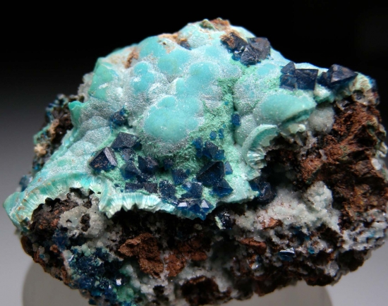 Veszelyite on Plancheite from Kipushi Mine, Kipushi, Katanga, DR Congo [db_pics/pics/au577b.jpg]