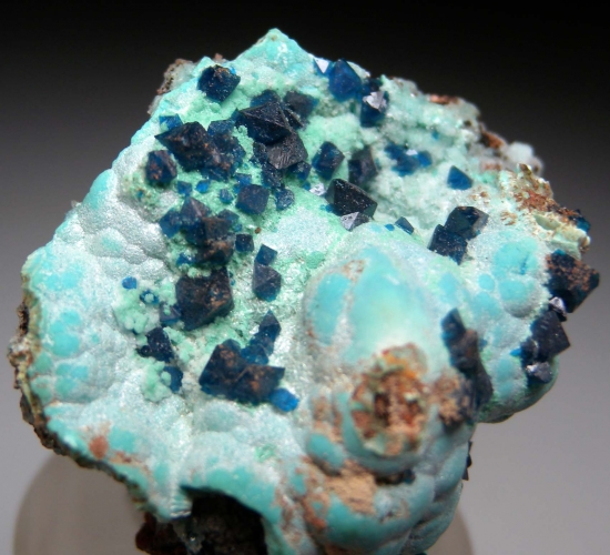 Veszelyite on Plancheite from Kipushi Mine, Kipushi, Katanga, DR Congo [db_pics/pics/au577c.jpg]