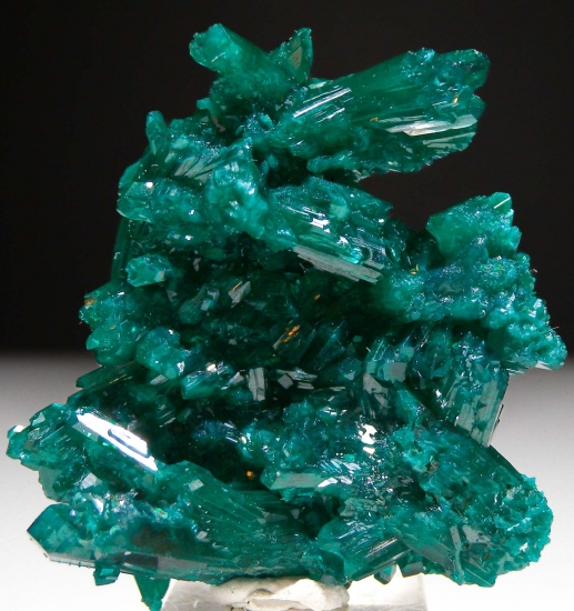 Dioptase from Reneville, Pool Department, Republic of the Congo [db_pics/pics/au753a.jpg]