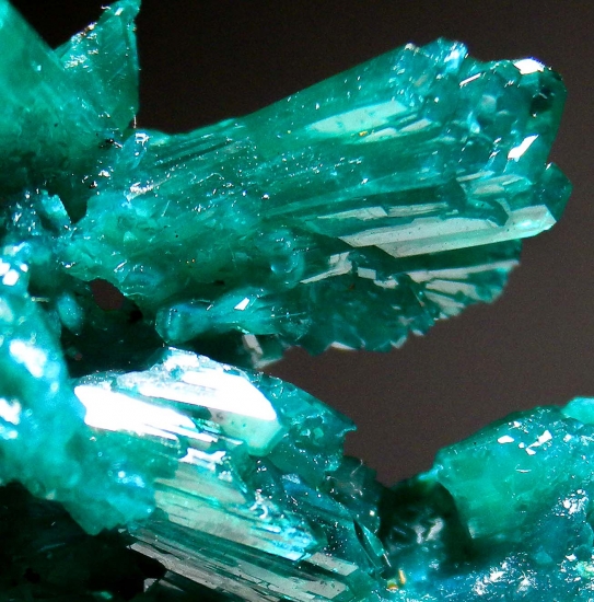 Dioptase from Reneville, Pool Department, Republic of the Congo [db_pics/pics/au753e.jpg]