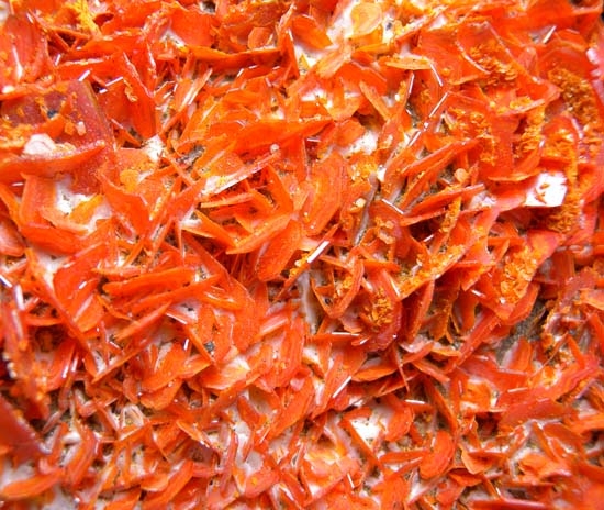 Wulfenite from Kuruktag Mountains, Xinjiang Uygur Region, China [db_pics/pics/b656b.jpg]