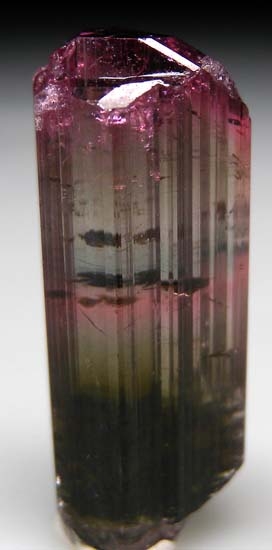 Liddicoatite from AntsirabÃ©, Antananarivo Province, Madagascar [db_pics/pics/b920a.jpg]