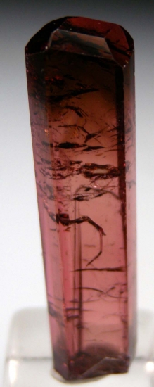 Tourmaline from Chia Mine, Minas Gerais, Brazil [db_pics/pics/d601a.jpg]