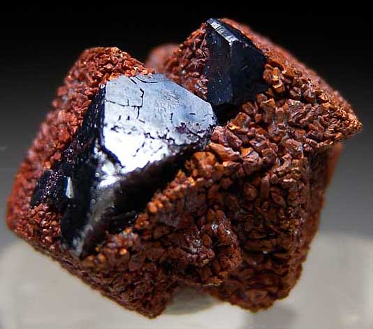 Cuprite and Copper from Poteryaevskoe Mine, Rubtsovskoe deposit, Siberia, Russia [db_pics/pics/e236a.jpg]