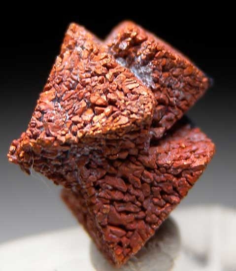 Cuprite and Copper from Poteryaevskoe Mine, Rubtsovskoe deposit, Siberia, Russia [db_pics/pics/e236b.jpg]