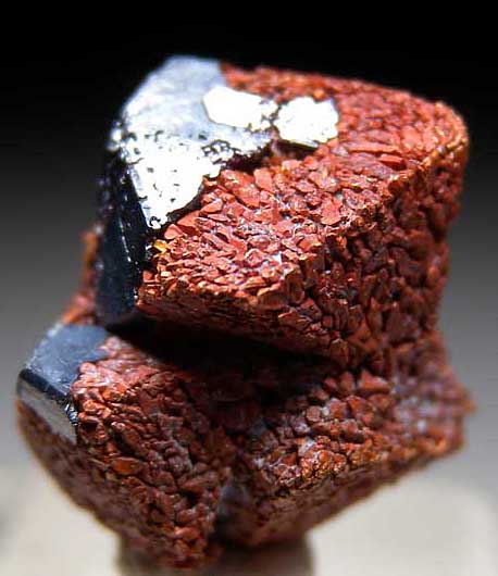 Cuprite and Copper from Poteryaevskoe Mine, Rubtsovskoe deposit, Siberia, Russia [db_pics/pics/e236c.jpg]