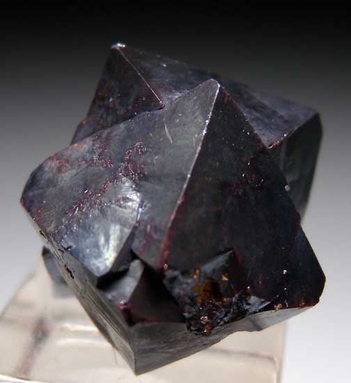Cuprite from Poteryaevskoe Mine, Rubtsovskoe deposit, Siberia, Russia [db_pics/pics/e355b.jpg]